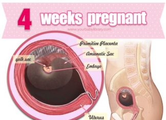 Thai 4 tuần tuổi