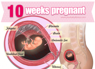 Thai nhi 10 tuần tuổi