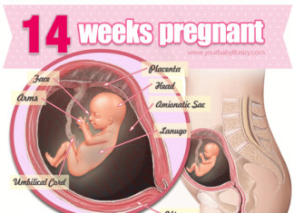 Thai nhi 14 tuần tuổi