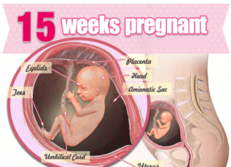 Thai nhi 15 tuần tuổi