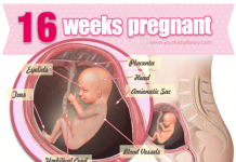 Thai nhi 16 tuần tuổi
