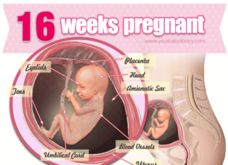 Thai nhi 16 tuần tuổi