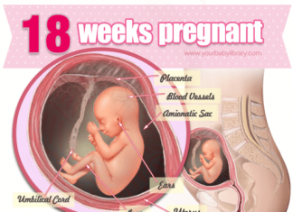 Thai nhi 18 tuần tuổi