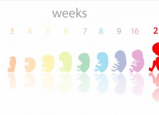 Những lưu ý giúp mẹ bầu tăng cân nặng thai nhi