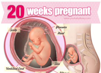 Thai nhi 20 tuần tuổi