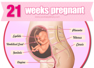 Thai nhi 21 tuần tuổi