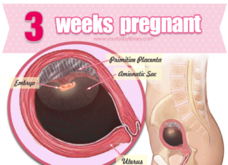 Thai 3 tuần tuổi