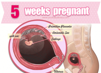 Thai 5 tuần tuổi