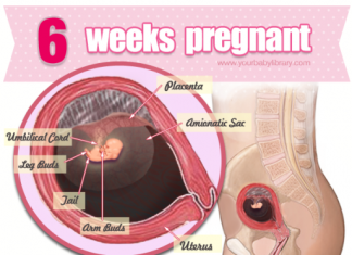 Thai nhi 6 tuần tuổi