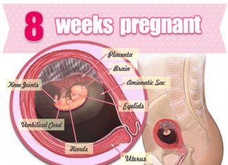 Thai nhi 8 tuần tuổi
