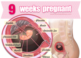 Thai nhi 9 tuần tuổi