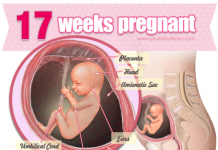 Thai nhi 17 tuần tuổi