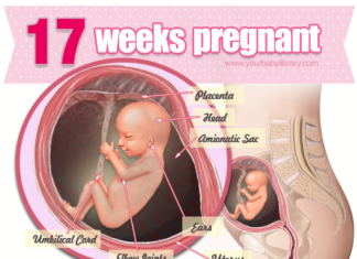 Thai nhi 17 tuần tuổi