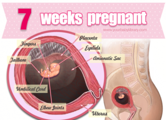 Thai nhi 7 tuần tuổi