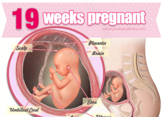 Thai nhi 19 tuần tuổi