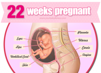 Thai nhi 22 tuần tuổi