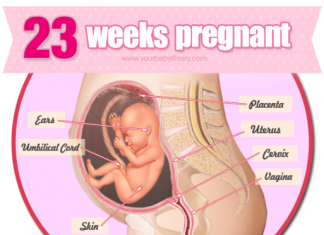 Thai nhi 23 tuần tuổi