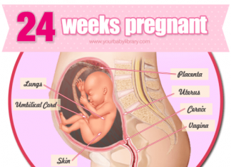 Thai nhi 24 tuần tuổi