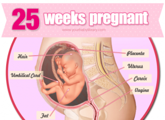 Thai nhi 25 tuần tuổi