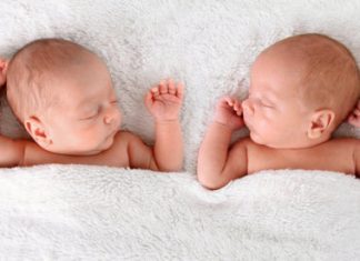 Mang thai cùng trứng và những điều mẹ bầu cần biết