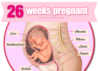 Thai nhi 26 tuần tuổi