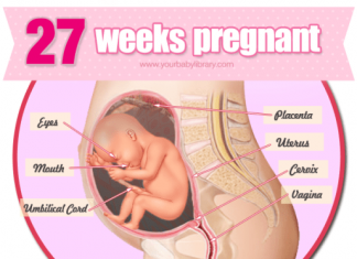 Thai nhi 27 tuần tuổi