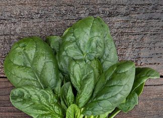 Công dụng của cải bó xôi với mẹ bầu