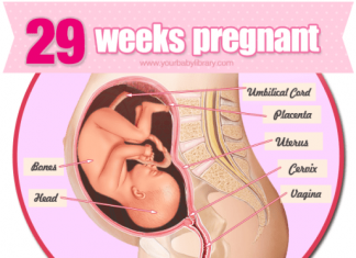 Thai nhi 29 tuần tuổi