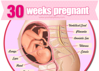 Thai nhi 30 tuần tuổi