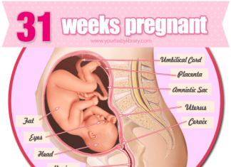 Thai nhi 31 tuần tuổi
