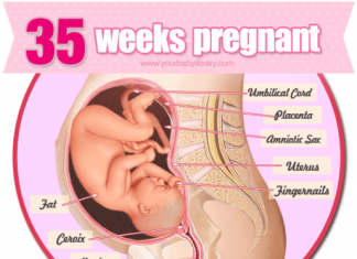 Thai nhi 35 tuần tuổi
