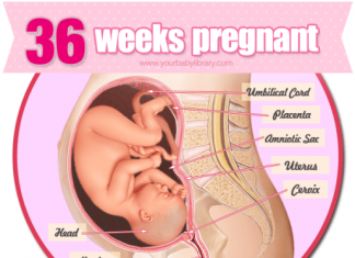 Thai nhi 36 tuần tuổi