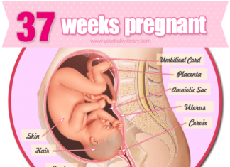 Thai nhi 37 tuần tuổi