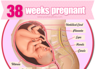 Thai nhi 38 tuần tuổi