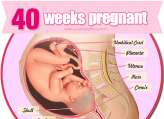 Thai nhi 40 tuần tuổi