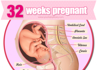 Thai nhi 32 tuần tuổi