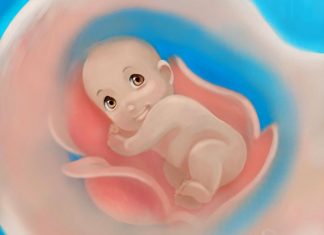 Vì sao thai nhi đạp nhiều vào ban đêm hơn ban ngày?