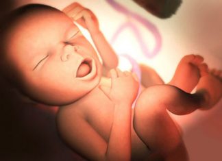 Tìm hiểu hiện tượng thai nhi nấc cụt trong bụng mẹ