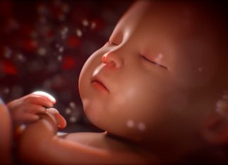 Những điều thai nhi học được từ mẹ trong suốt 40 tuần