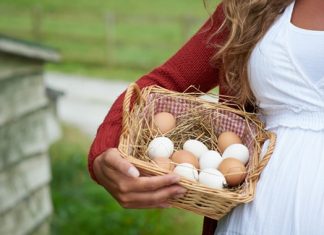 Những thực phẩm cần có trong bữa sáng của mẹ bầu