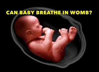 Trong bụng mẹ, thai nhi có thở không?