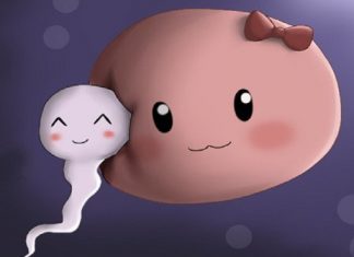 Những thời điểm thụ thai sai lầm, ai cũng cần biết