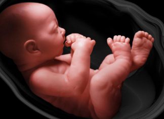 Những dấu hiệu của thai nhi khỏe mạnh