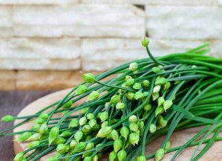 Gia vị nào an toàn cho sức khỏe mẹ bầu?