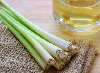 10 công thức giúp mẹ bầu đẩy lùi ốm nghén hiệu quả